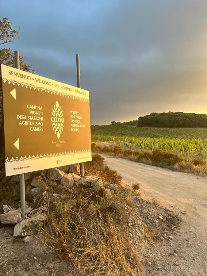 Вілла Cantina&Agriturismo Canu Luogosanto Екстер'єр фото