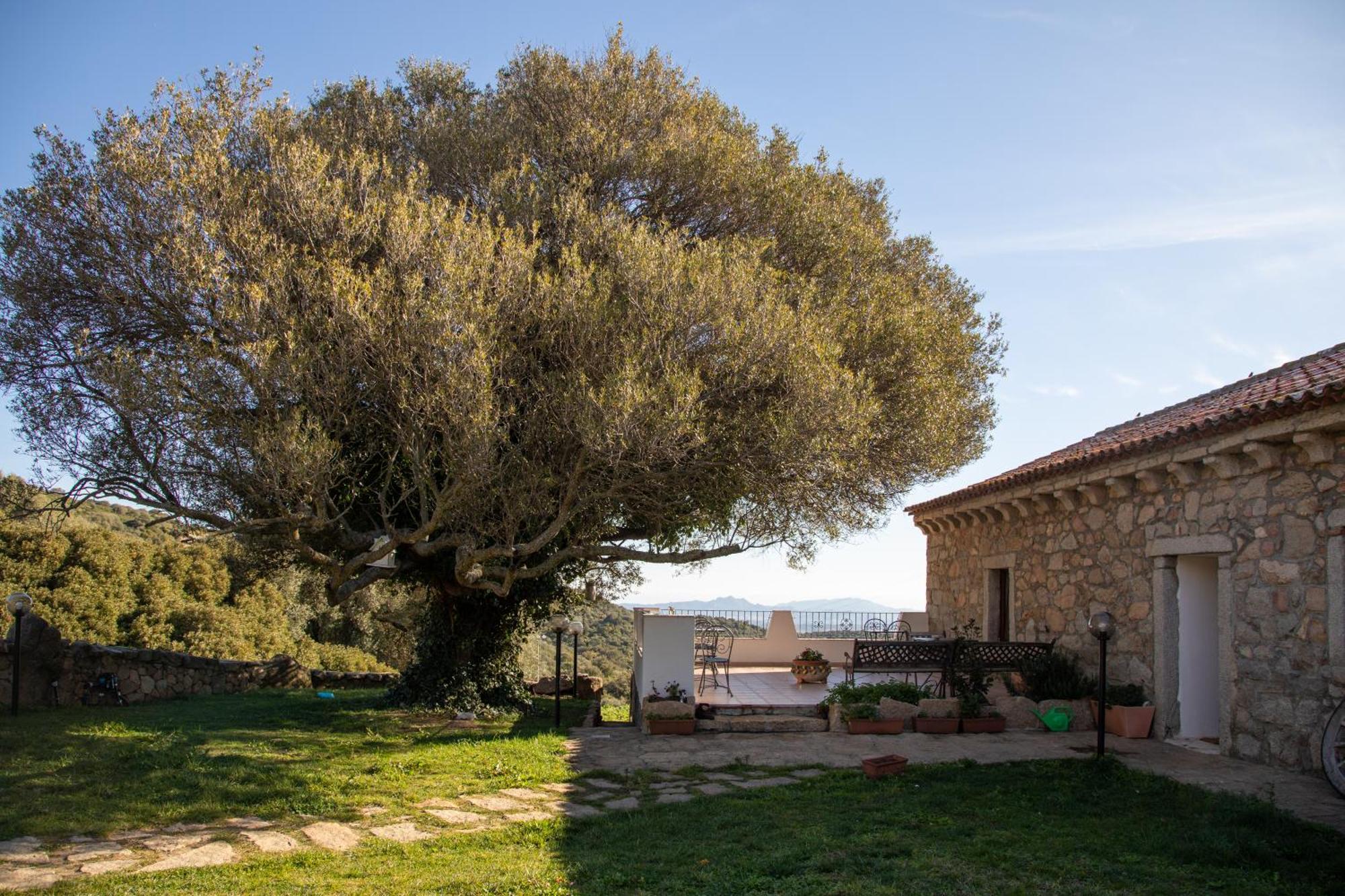 Вілла Cantina&Agriturismo Canu Luogosanto Екстер'єр фото